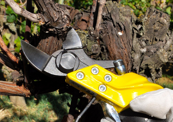 Секатор пневматический LISAM SLY DT