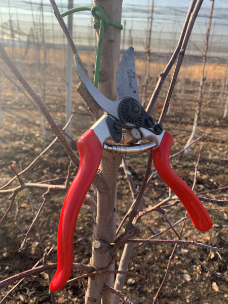 Секатор GL012